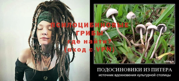 PSILOCYBIN Рославль