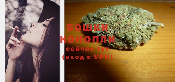 PSILOCYBIN Рославль